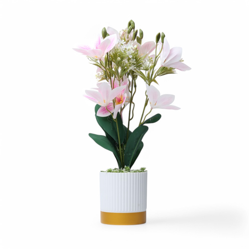 ЦВЕТЫ Геран