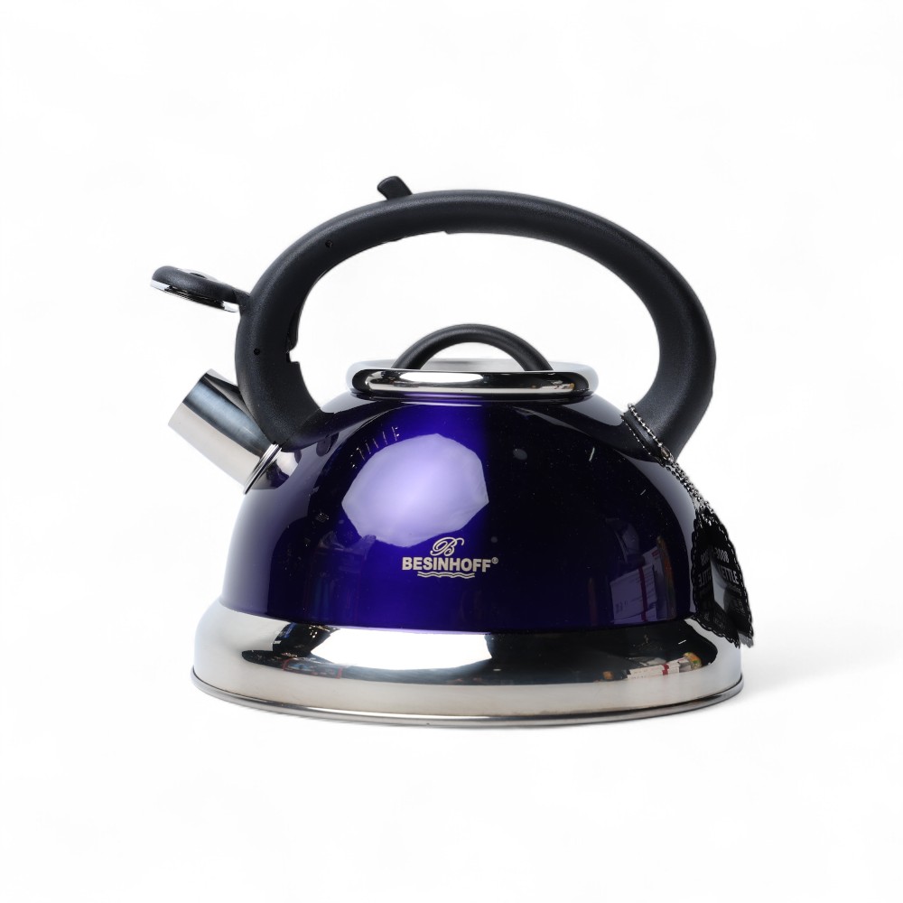 Чайник кипятильный BH-3008 DB-311-10 фиолетовый